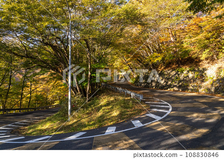[栃木縣]日光伊呂波坂/第一伊呂波坂（下坡）紅葉之巔 108830846