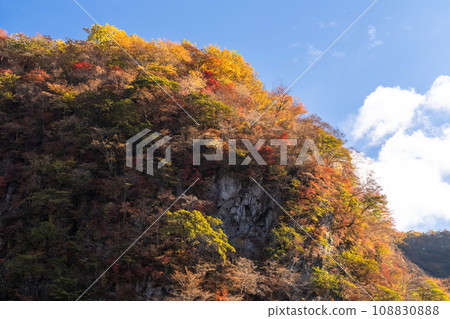 [Tochigi Prefecture] Nikko Irohazaka/Daiichi Irohazaka (downhill) at the peak of autumn leaves 108830888