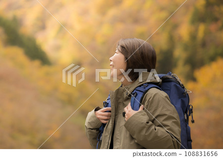 Woman climbing a mountain with autumn leaves, close-up 108831656