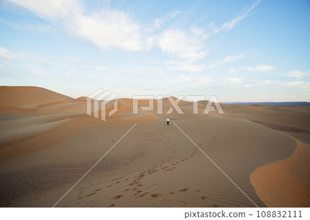 Morning view of the Sahara Desert from a camel.3 108832111
