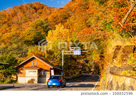 [栃木縣] 日光伊呂波坂和明智平的紅葉美景 108832596