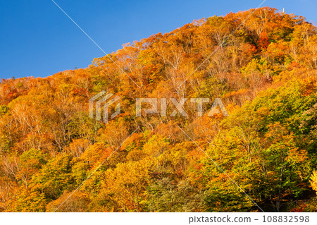 [Tochigi Prefecture] View of Nikko Irohazaka and Akechidaira at the peak of autumn leaves 108832598
