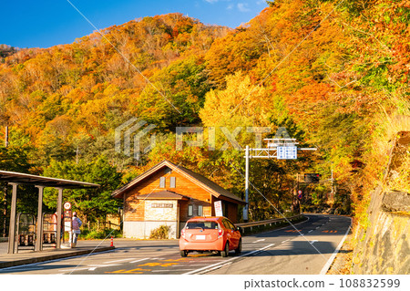 [Tochigi Prefecture] View of Nikko Irohazaka and Akechidaira at the peak of autumn leaves 108832599