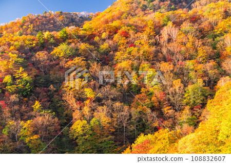 [Tochigi Prefecture] View of Nikko Irohazaka and Akechidaira at the peak of autumn leaves 108832607