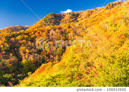 [Tochigi Prefecture] View of Nikko Irohazaka and Akechidaira at the peak of autumn leaves 108832608