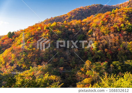 [Tochigi Prefecture] View of Nikko Irohazaka and Akechidaira at the peak of autumn leaves 108832612