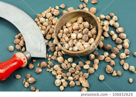 White dried cardamon, spice. 108832628