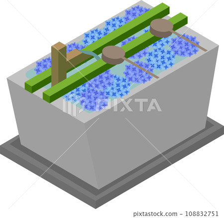 Isometric hydrangea flower hand water Isometric hydrangea flower hand water 108832751