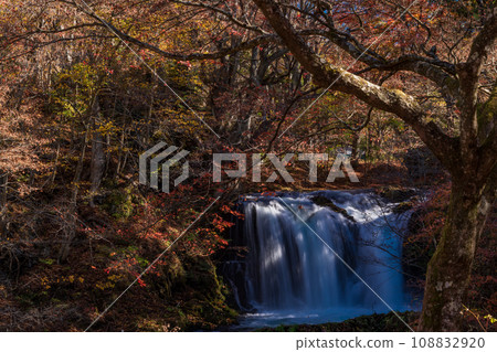 (山梨縣)金山瀑布,紅葉美麗 (山梨縣)金山瀑布,紅葉美麗 108832920