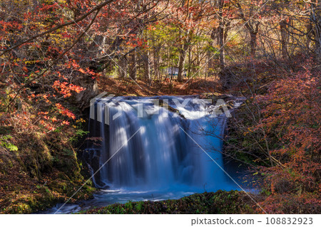 (Yamanashi Prefecture) Kaneyama Falls with beautiful autumn leaves (Yamanashi Prefecture) Kaneyama Falls with beautiful autumn leaves 108832923