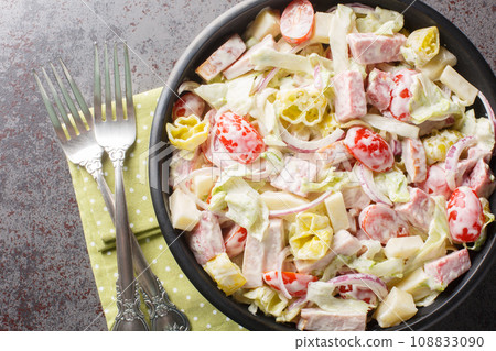 Italian Grinder Salad combines all the ingredients of an famous sub sandwich closeup on the plate. Horizontal top view 108833090