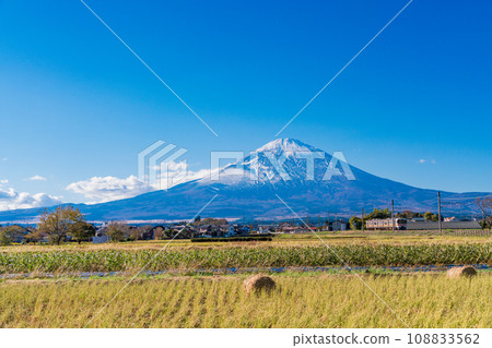 （靜岡縣）收割的稻田外的富士山 108833562
