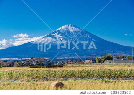(靜岡縣)收割的稻田外的富士山 (靜岡縣)收割的稻田外的富士山 108833563