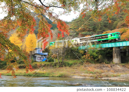 The special train “Kazekko Suigun Line Momiji” runs through the autumn foliage scenery of Mt. Yamatsuri 108834422