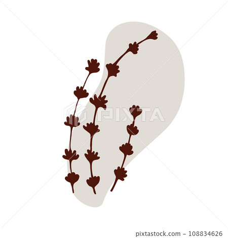 Dry branch plant isolated vector illustration. Concept dried herbs. Stem leaf. Botany, Herbal theme. 108834626