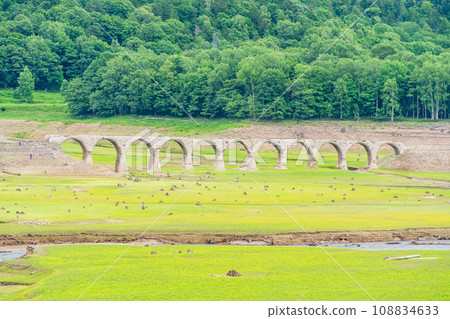 (Hokkaido) The ruins of the Shihoro Line Taushubetsu River Bridge seen from the Taushubetsu Observation Deck (Hokkaido) The ruins of the Shihoro Line Taushubetsu River Bridge seen from the Taushubetsu Observation Deck 108834633