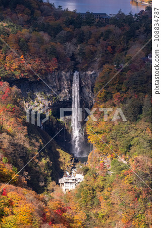 [Tochigi Prefecture] View of Okunikko/Akechidaira at the peak of autumn leaves 108834787