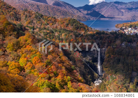 [栃木縣] 歐日光、明智平的紅葉美景 108834801