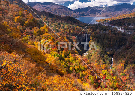 [Tochigi Prefecture] View of Okunikko/Akechidaira at the peak of autumn leaves 108834820