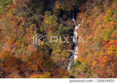 [栃木縣] 歐日光、明智平的紅葉美景 108834910