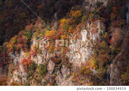 [栃木縣] 歐日光、明智平的紅葉美景 108834919