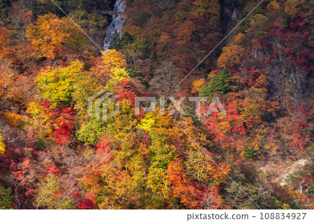 [Tochigi Prefecture] View of Okunikko/Akechidaira at the peak of autumn leaves 108834927