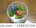 自製苔蘚玻璃容器頂部 108835104