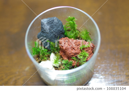 自製苔蘚玻璃容器頂部 自製苔蘚玻璃容器頂部 108835104