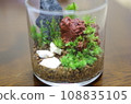 水平的自製苔蘚玻璃容器 108835105