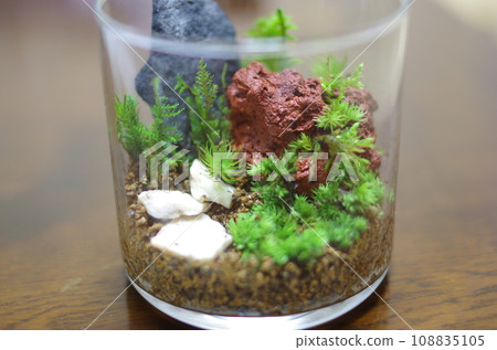 水平的自製苔蘚玻璃容器 水平的自製苔蘚玻璃容器 108835105