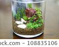 水平的自製苔蘚玻璃容器 108835106