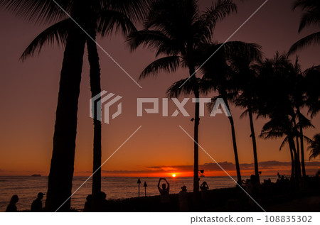 Hawaiian scenery evening view Hawaiian scenery evening view 108835302