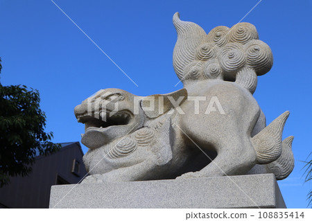 Shiba Inu from Aoshima Shrine 108835414