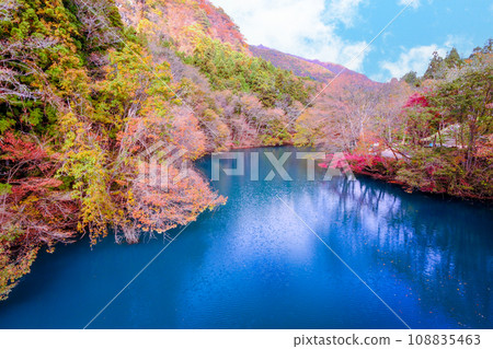 Autumn Lake Shimanto 108835463