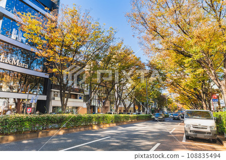 Omotesando in autumn Omotesando in autumn 108835494
