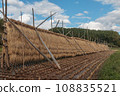 Landscape with rice hangings 108835521