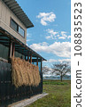 Drying rice on the farm wall 108835523