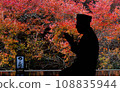 漂浮在秋葉中的剪影（杜鵑花） 108835944