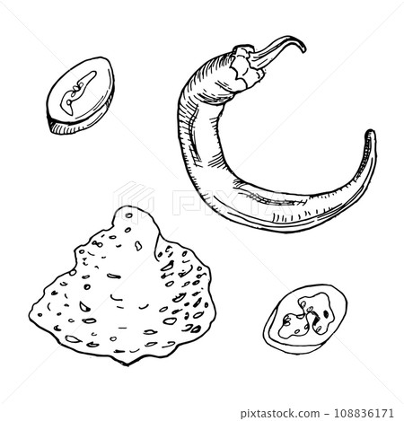 Graphic chili hot pepper and slice illustration isolated on white background. Spicy flavoring hand drawn ink. Vector hot pepper black white line. Design element for wrapping, menu, package 108836171