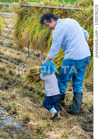 水稻收割體驗 108836228