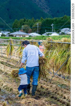水稻收割體驗 水稻收割體驗 108836229