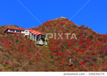 [長崎縣]晴天雲仙二田嶺的紅葉（雲仙纜車） 108836274