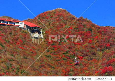 [Nagasaki Prefecture] Autumn leaves at Unzen Nita Pass on a clear day (Unzen Ropeway) 108836284