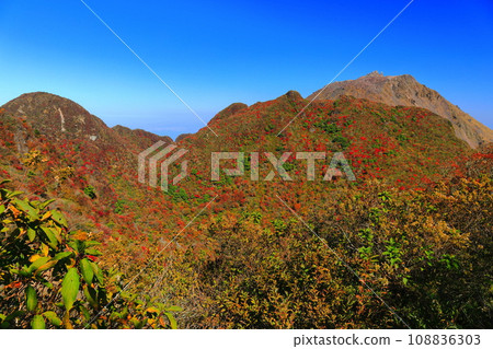 [長崎縣]晴天從妙見火山口展望台看到的平成新山（雲仙普玄岳） 108836303