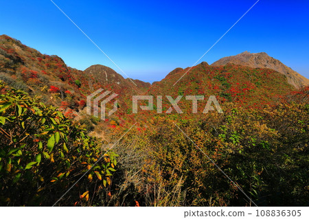 [長崎縣]晴天從妙見火山口展望台看到的平成新山（雲仙普玄岳） 108836305