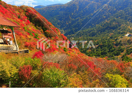 [Nagasaki Prefecture] Autumn leaves at Unzen Nita Pass on a clear day (Unzen Ropeway) 108836314
