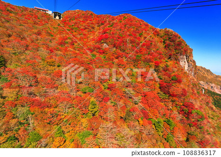 [長崎縣]晴天雲仙二田嶺的紅葉（雲仙纜車） 108836317