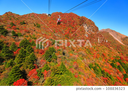 [長崎縣]晴天雲仙二田嶺的紅葉（雲仙纜車） 108836323