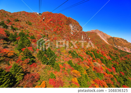 [長崎縣]晴天雲仙二田嶺的紅葉（雲仙纜車） 108836325