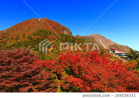 [長崎縣]晴天雲仙二田嶺的紅葉（雲仙纜車） 108836331
